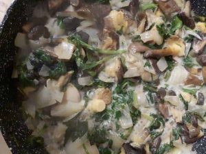 ליקוט פטריות