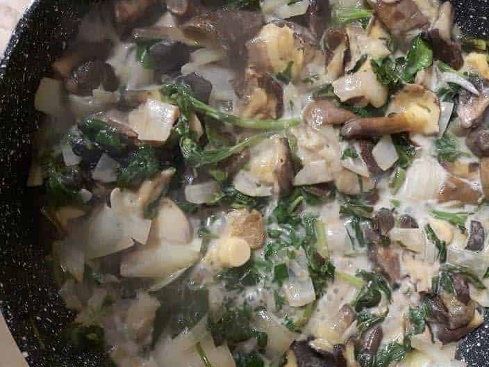 ליקוט פטריות