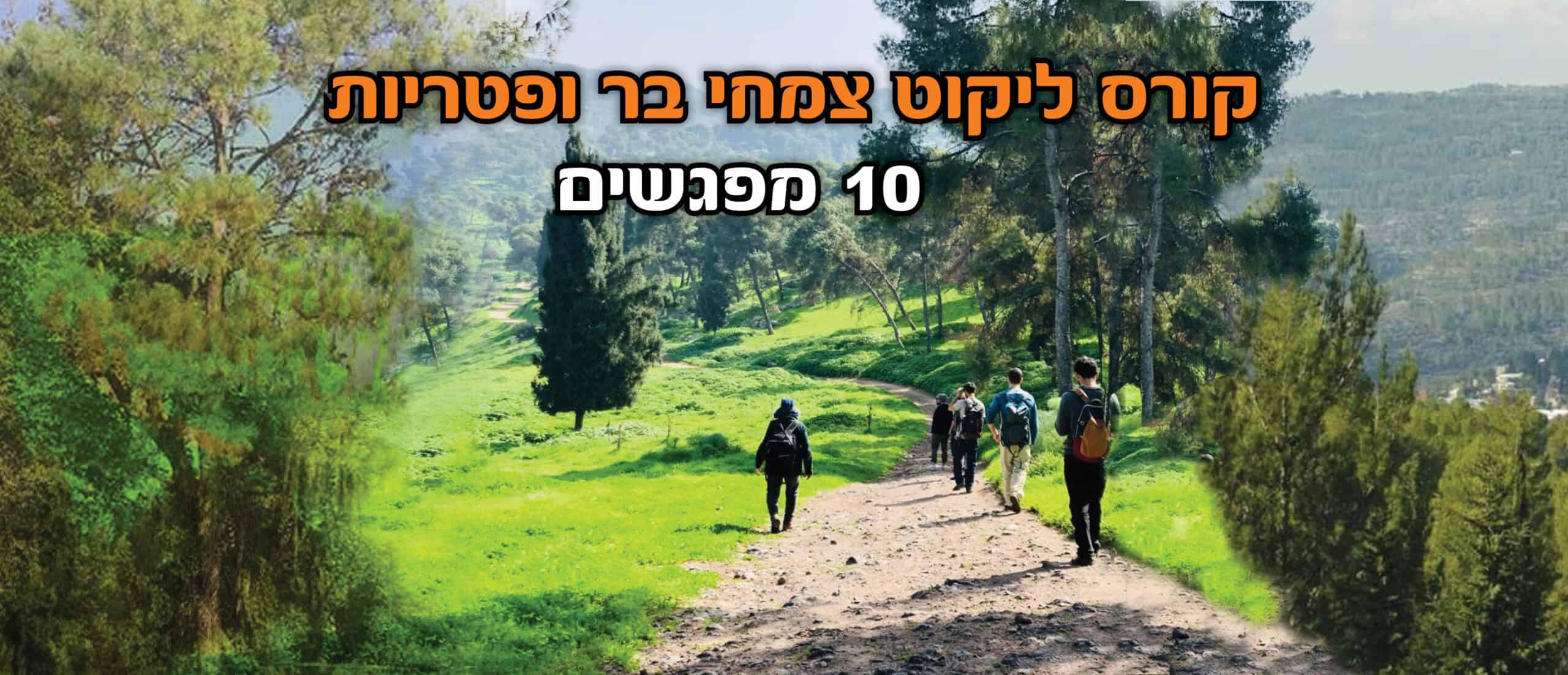 קורס ליקוט צמחי בר ופטריות