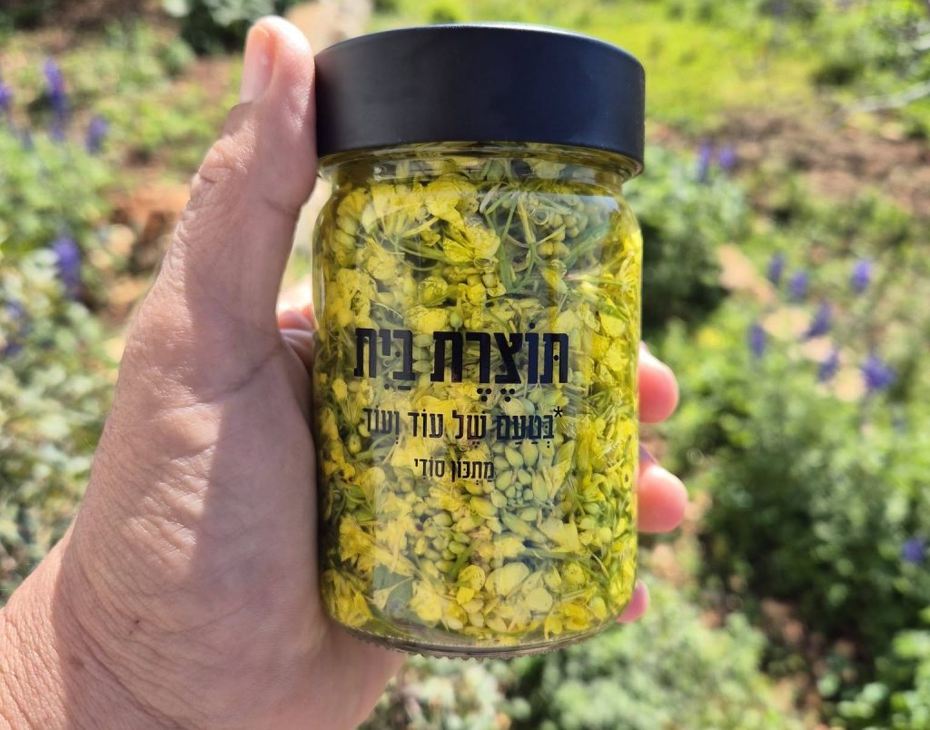 כיבוש פרחי חרדל כיבוש פרחי חרדל